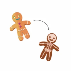 DJECO Stickers X-Rays 5 DJECO Stickers X-Rays -Djeco dj09267.jpg3