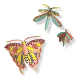 DJECO Cabinet De Curiosites 8 Jr+ 6 DJECO Cabinet De Curiosites 8 Jr+ -Djeco djeco cabinet de curiosites dj08619 c