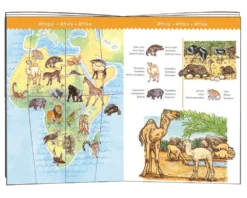 DJECO Observatie Puzzel Animals 5 Jr+/ 100 Stks -Djeco djeco observatie puzzel animals of the world dj07420 book